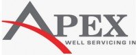 Apex Well Servicing Inc.
