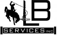 LB SERVICES INC 